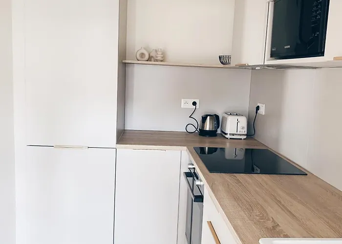 Le Regis Apartment Laguiole